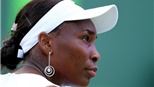 Sony Ericsson Open 2012: Venus tái xuất sau 6 tháng